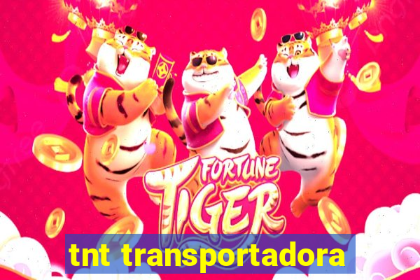 tnt transportadora